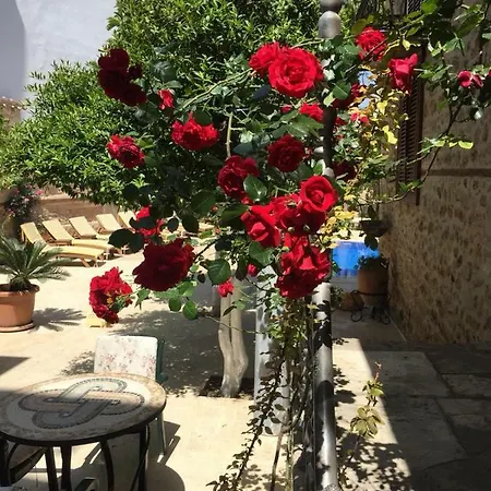 White Garden Hotel-adult Only Antalya
